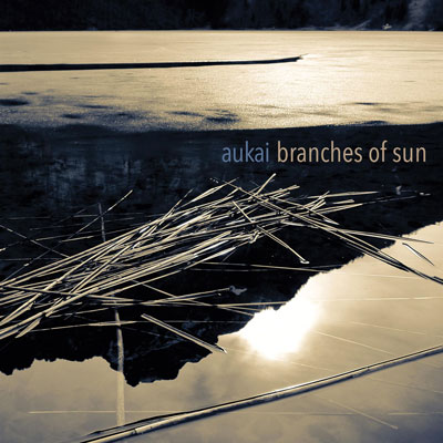 Branches of Sun ، آلبوم نئوکلاسیکال امبینت زیبایی از اوکای