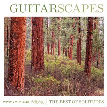 همراهی ملودیهای آرام و زیبای گیتار با صدای طبیعت در اثری از دن گیبسون