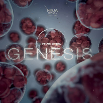 موسیقی حماسی و خیره کننده گروه نینجا ترکس در آلبوم انقلاب پیدایش