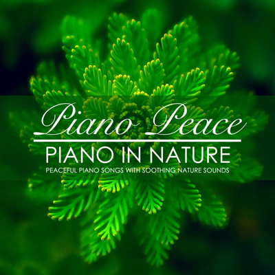 آلبوم موسیقی Piano in Nature پیانو های آرامش بخش با صدای طبیعت