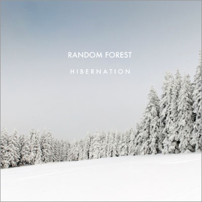 پست راک - امبینت زیبای راندوم فارست در آلبوم « خواب زمستانی »