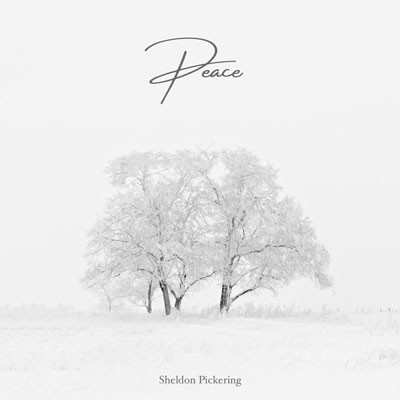 آلبوم موسیقی Peace ملودی های آرامش بخش زمستانی اثری از Sheldon Pickering