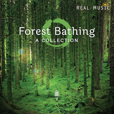 « شفای جنگل » آهنگ های آرامش بخش بیکلام از لیبل Real Music